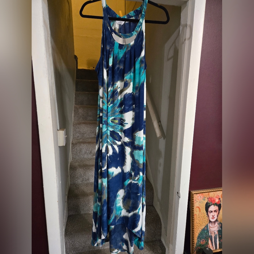Blue and White Floral Maxi Dress